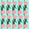 flower, tulip, spring, vector, nature, tulips, flowers, floral, illustration, pink, pattern, plant, card Royalty Free Stock Photo